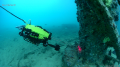 近50场内容丰硕、形式多样、参取度高、